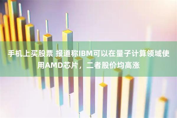 手机上买股票 报道称IBM可以在量子计算领域使用AMD芯片，二者股价均高涨
