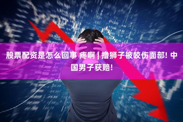 股票配资是怎么回事 疼啊 | 撸狮子被咬伤面部! 中国男子获赔!